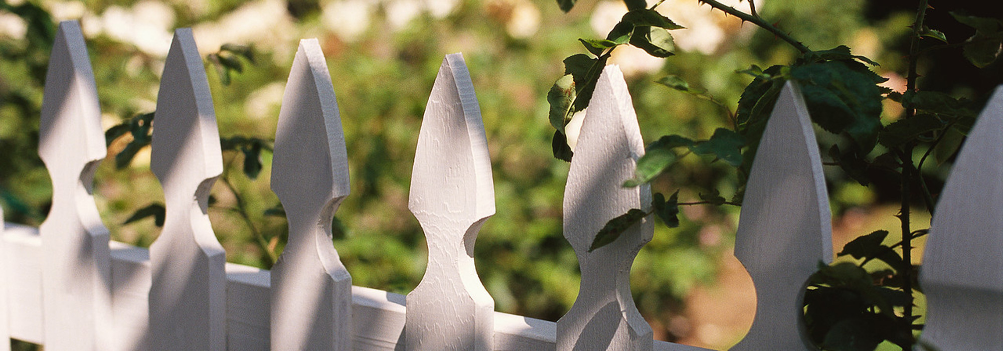 White picket fence near bushes. Privacy and protection concept.